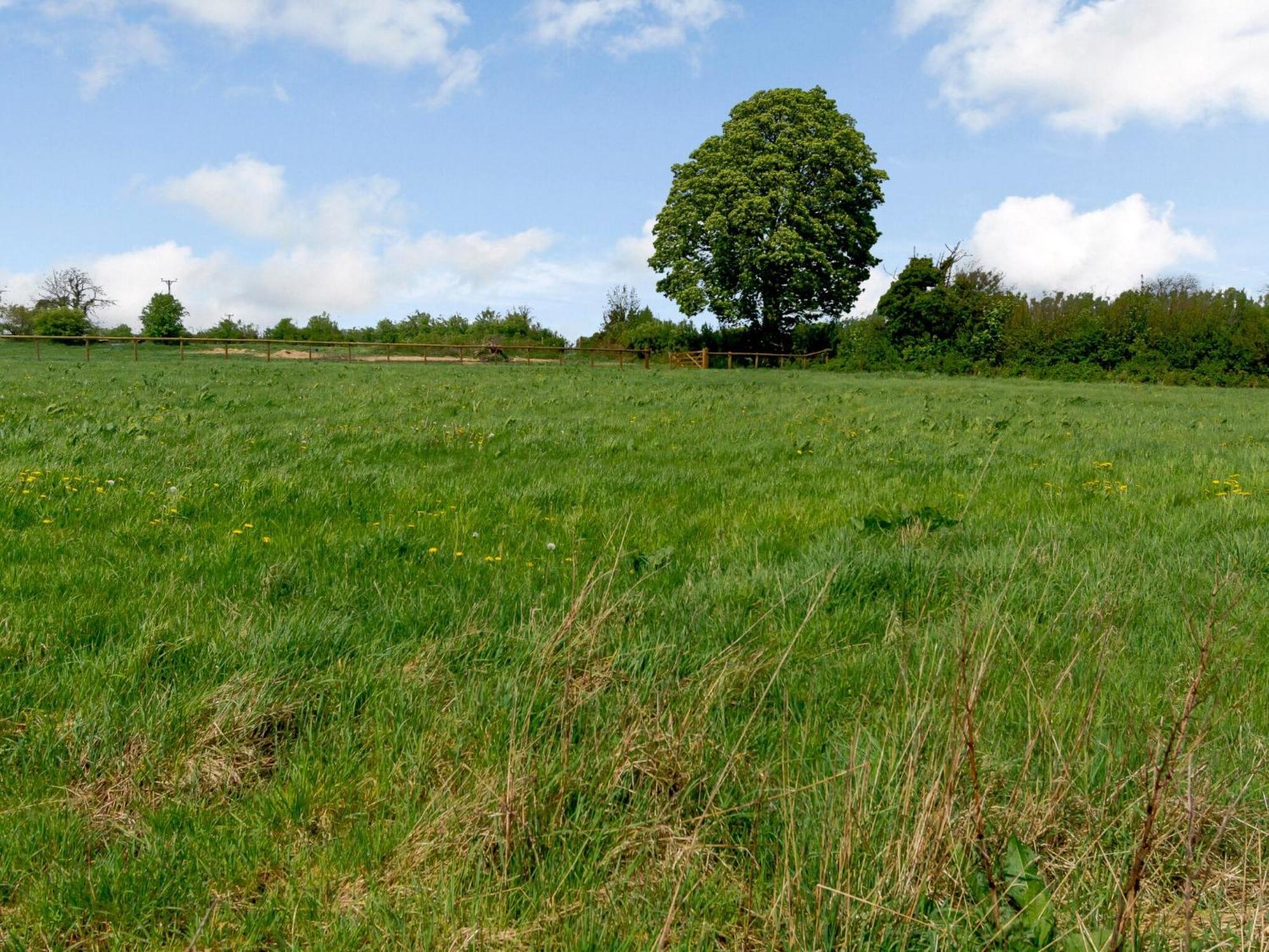 Primrose Villa Shepton Mallet Exterior photo